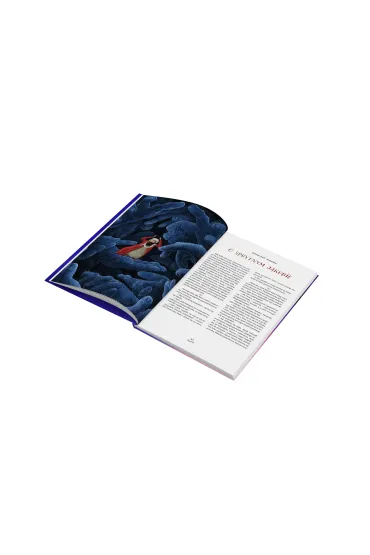 Opowie�ci biblijne. Stary Testament - Justyna Bednarek