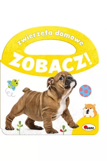 Zobacz Zwierz�ta domowe