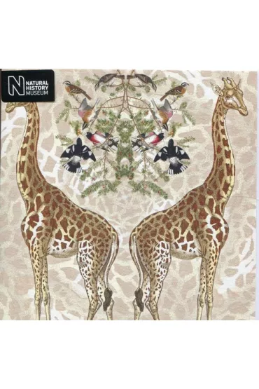 Museums & Galleries Karnet kwadrat z kopert� Giraffe