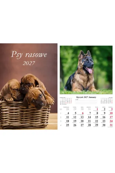 Kalendarz 2027 �cienny 7-k Psy rasowe