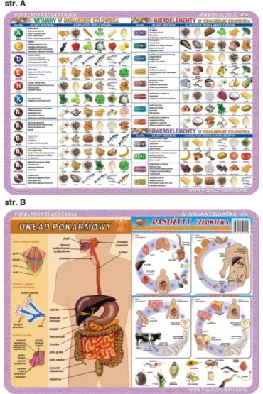 Visual System Podk�adka edukacyjna. Szkielet, mi�nie, zmys�y