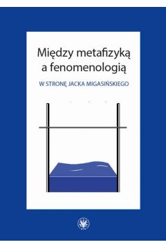 eBook Midzy metafizyk a fenomenologi pdf