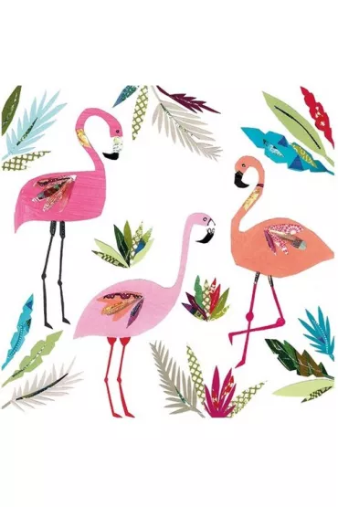 Museums & Galleries Karnet 3 Flamingos z kopert�