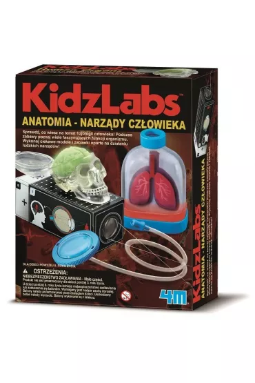 Anatomia - narz�dy cz�owieka (M114.3374) % BPZ * 4M
