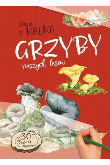 Grzyby naszych las�w - Katarzyna Kopiec-Sekieta