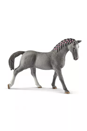 Klacz Trakehner