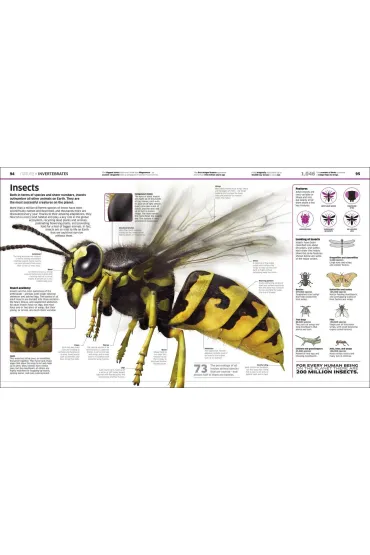 Knowledge Encyclopedia. The World as You`ve Never Seen it Before wer. angielska