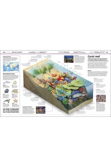 Knowledge Encyclopedia. The World as You`ve Never Seen it Before wer. angielska