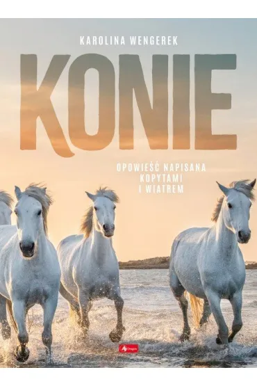 Konie - Karolina Wengerek