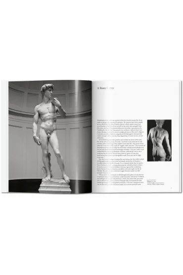 Michelangelo - Gilles N�ret