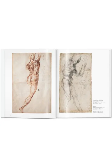 Michelangelo - Gilles N�ret