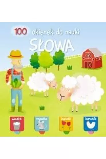 100 okienek do nauki. S�owa