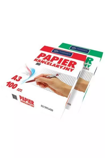 Interdruk Papier kancelaryjny A3 100 kartek