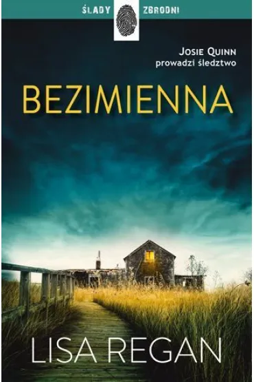 Bezimienna. Josie Quinn. Tom 2 - Lisa Regan