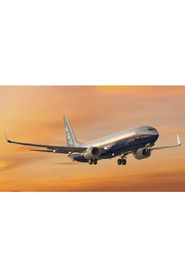 Samolot Boeing 737-800 Cobi