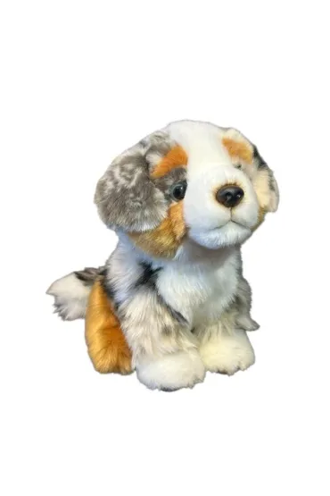 Pies australijski 19cm Dubi