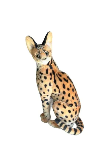 Serwal 49cm