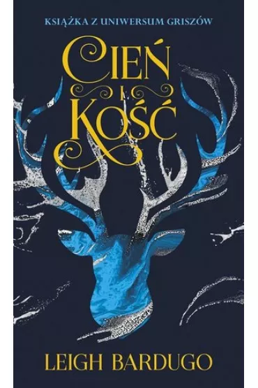 Cie� i ko��. Trylogia Grisza. Tom 1 - Leigh Bardugo
