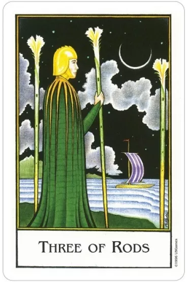 New Palladini Tarot - David  Palladini