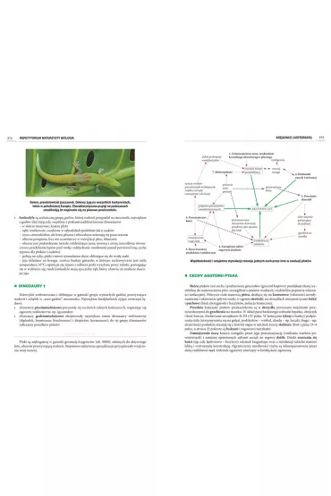 Repetytorium maturzysty 2022. Biologia - Maciej Miko�ajczyk, Jolanta Zygmunt