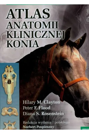 Atlas anatomii klinicznej konia - Norbert Pospieszny