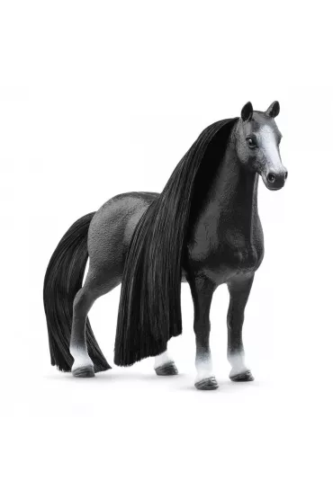Pi�kna klacz rasy Quarter Horse Sofia's Beauties