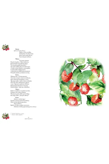 Balladyna - Juliusz S�owacki