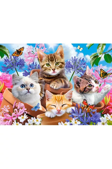 Puzzle 70 el. Kittens with Flowers Castorland