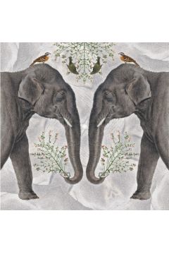 Karnet kwadrat z kopert Indian Elephant