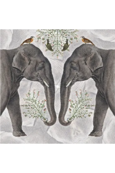 Museums & Galleries Karnet kwadrat z kopert� Indian Elephant