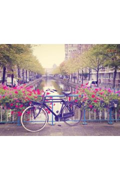 Amsterdam Wiosn Rower wrd Kwiatw - plakat 61x91,5 cm