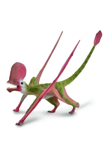Caviramus