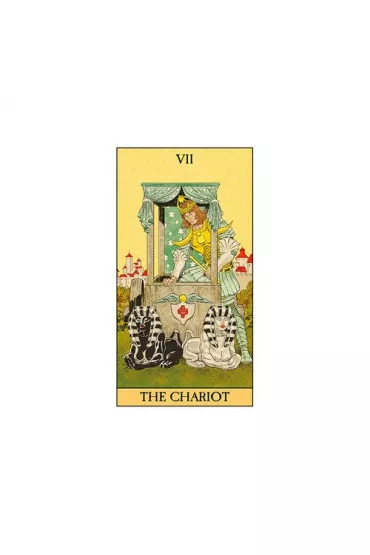 Before Tarot, karty do wr�enia