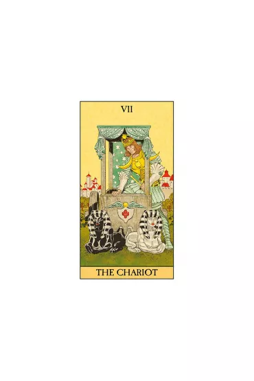 Before Tarot, karty do wr�enia