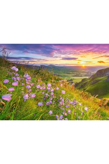 Puzzle 500 el. Harebells at Sunrise Castorland