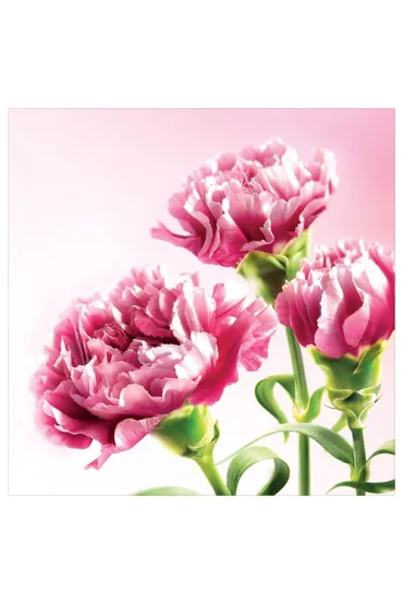 Art Nuvo Karnet kwiatowy KW FF64 r�owe go�dziki