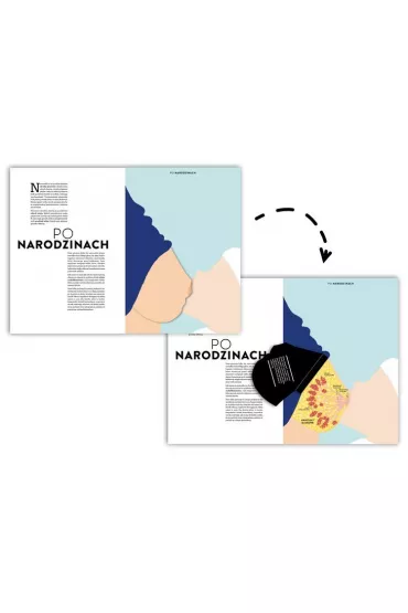 Narodziny. Pocz�tki �ycia cz�owieka na wyj�tkowych a�urowych rycinach - Helene Druvert