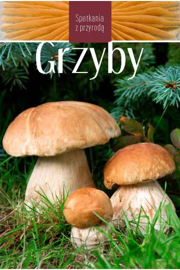 Grzyby. Spotkania z przyrod� - Marek Snowarski
