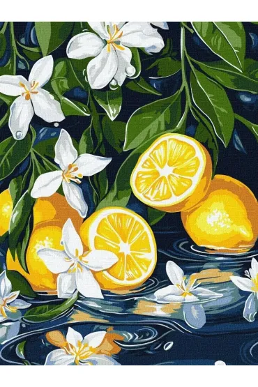 Ideyka Malowanie po numerach - Cytryna w przekroju 30x40cm