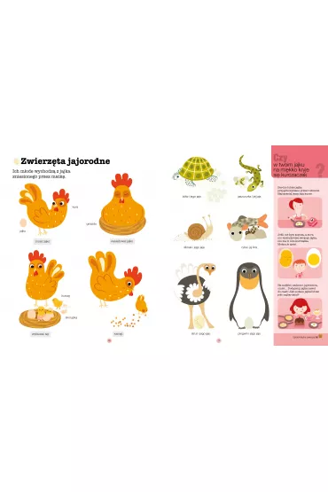 Pierwsza encyklopedia. Zwierz�ta
