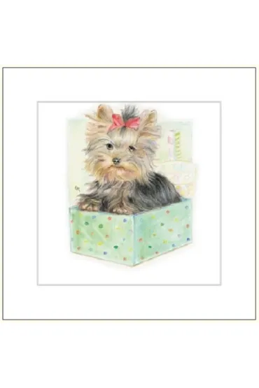 DaVinci Karnet G04 41G 055 + koperta Pies rysowany 16x16 cm
