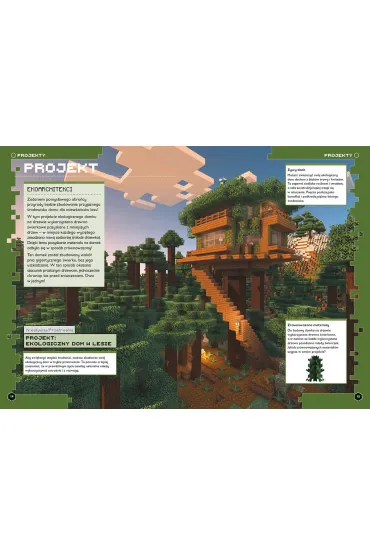 Minecraft. Projektowanie i technologia. Megazadania. 7-11 lat - Tom Bolton
