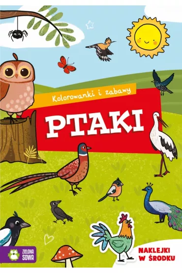 Kolorowanki i zabawy. Ptaki