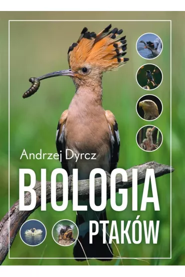 Biologia ptak�w - Andrzej  Dyrcz