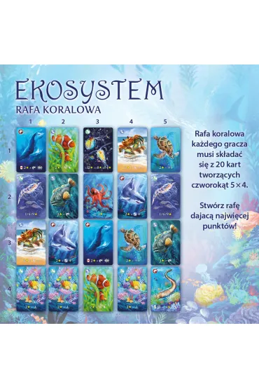 Ekosystem 2. Rafa koralowa - Matt  Simpson