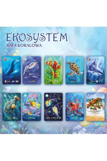 Ekosystem 2. Rafa koralowa - Matt  Simpson