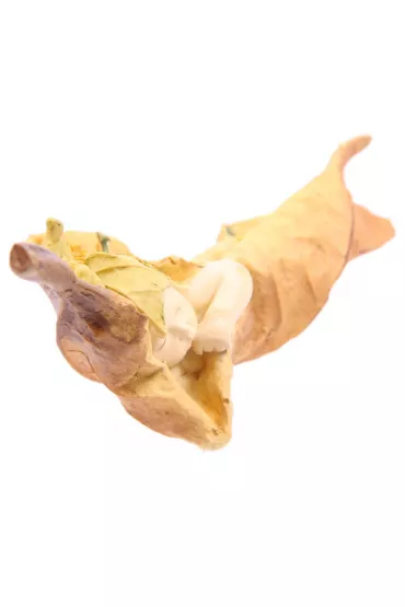 �pi�cy le�ny stworek - owini�ty listkiem