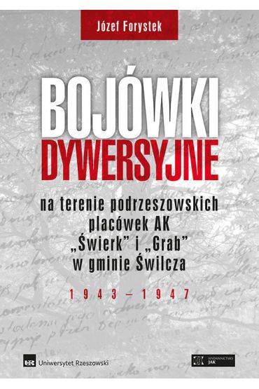 Bojówki dywersyjne