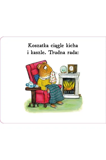 Koszatka ma katar - Axel Scheffler, Julia Donaldson