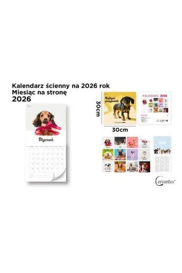 Cervantes Kalendarz 2026 �cienny 30x30cm Psy